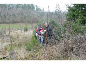 Es weihnachtet in St. Crescentius (© Karl-Franz Thiede)